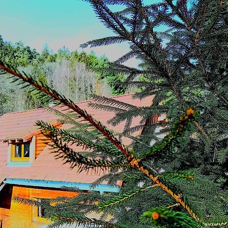 Domaine Les Lodges Nature ,Private Wellness Soultzeren Exterior photo
