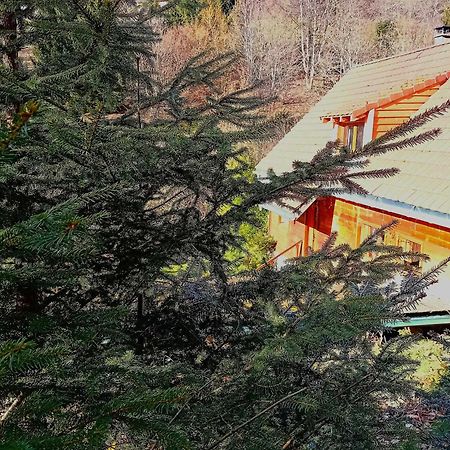Domaine Les Lodges Nature ,Private Wellness Soultzeren Exterior photo