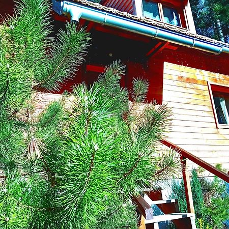 Domaine Les Lodges Nature ,Private Wellness Soultzeren Exterior photo