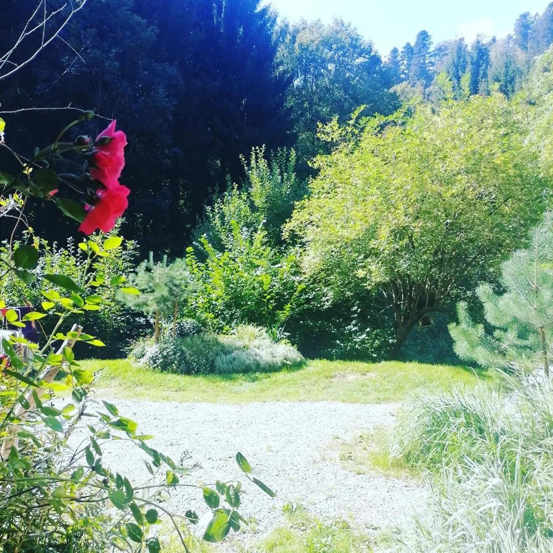 Domaine Les Lodges Nature ,Private Wellness Soultzeren Exterior photo
