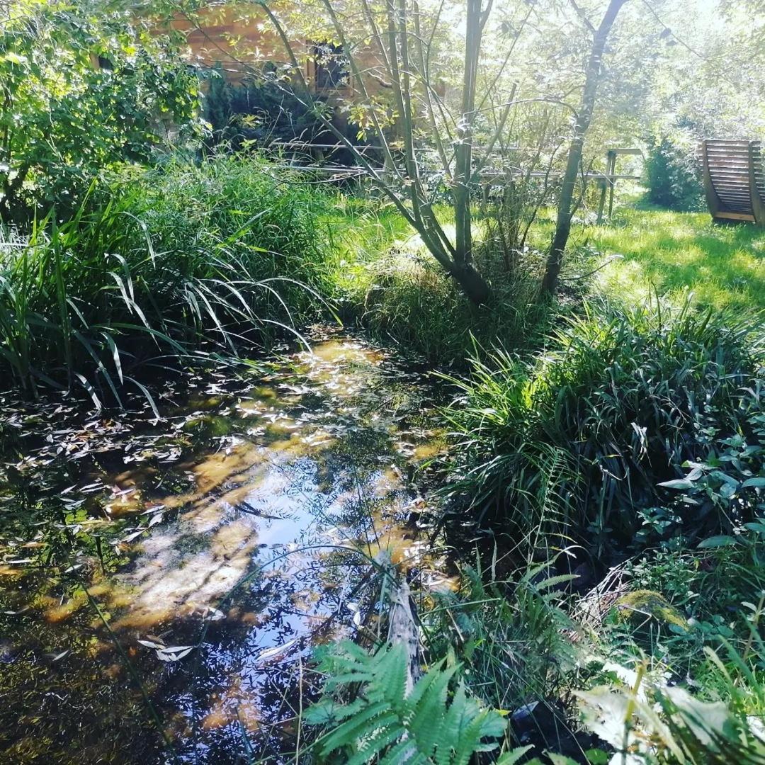 Domaine Les Lodges Nature ,Private Wellness Soultzeren Exterior photo
