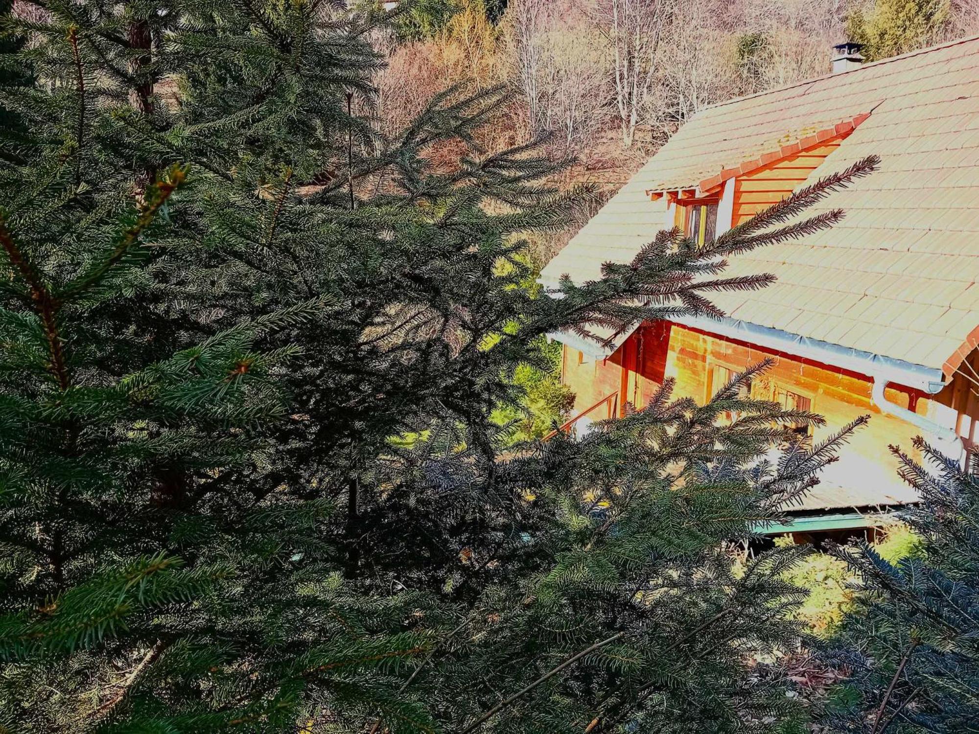 Domaine Les Lodges Nature ,Private Wellness Soultzeren Exterior photo